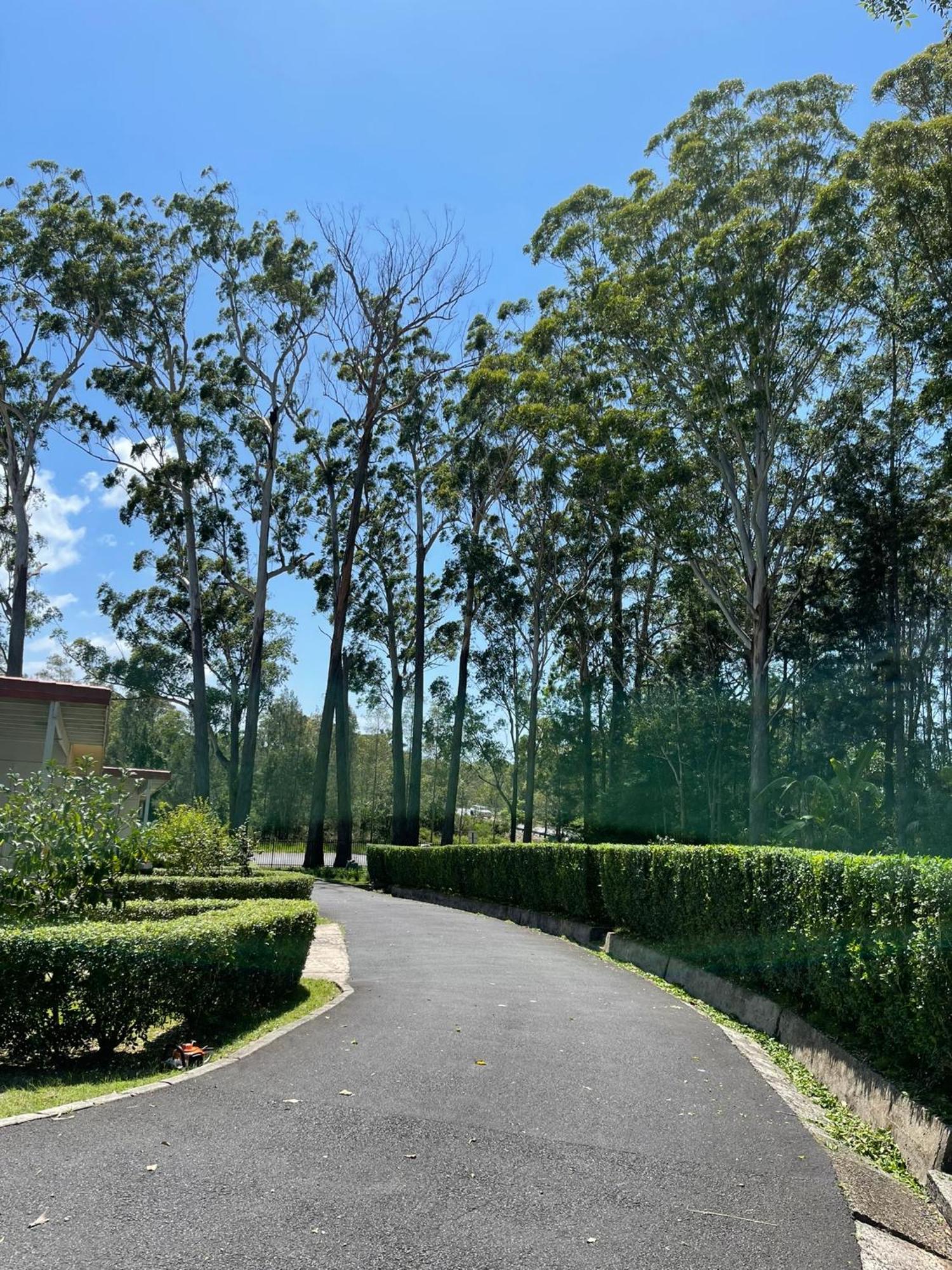 Major Innes Motel Port Macquarie Bagian luar foto