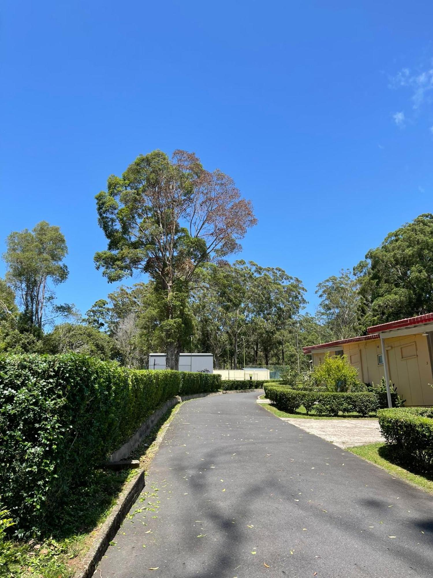 Major Innes Motel Port Macquarie Bagian luar foto